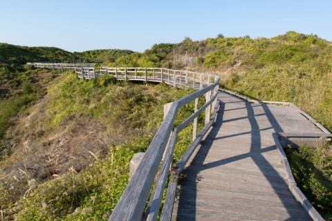 Merlimont Plage, sentier de découverte de la dune parabolique