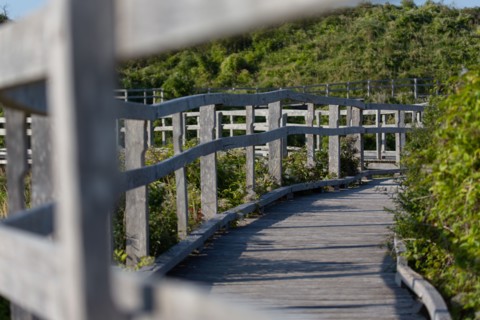 Merlimont Plage, sentier de découverte de la dune parabolique