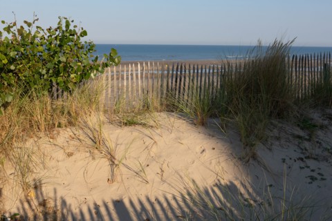 Merlimont Plage, bande dunaire sur le front de mer