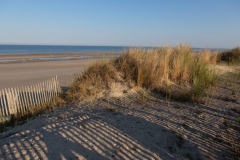 Merlimont Plage, bande dunaire sur le front de mer