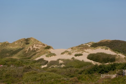 Merlimont Plage, sentier de découverte de la dune parabolique