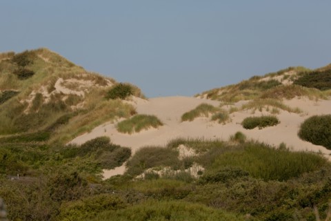 Merlimont Plage, sentier de découverte de la dune parabolique