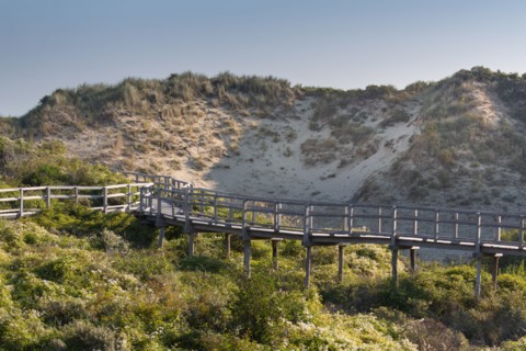Merlimont Plage, sentier de découverte de la dune parabolique