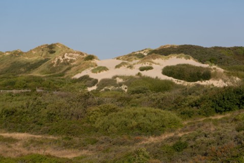Merlimont Plage, sentier de découverte de la dune parabolique