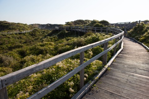 Merlimont Plage, sentier de découverte de la dune parabolique