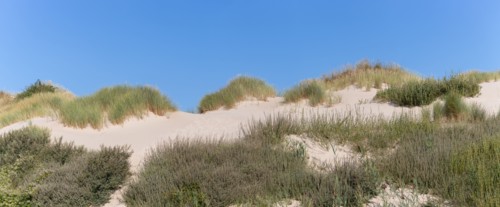 Merlimont Plage, bande dunaire sur le front de mer