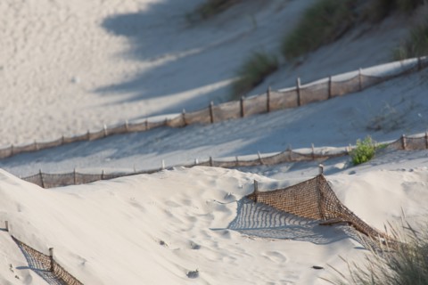 Merlimont Plage, dunes de Stella-Merlimont