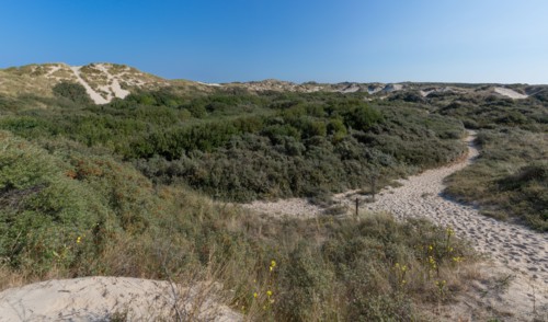 Merlimont Plage, Stella-Merlimont dunes