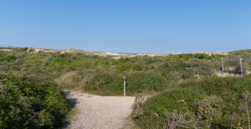 Merlimont Plage, Stella-Merlimont dunes
