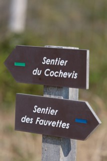 Merlimont Plage, dunes de Stella-Merlimont