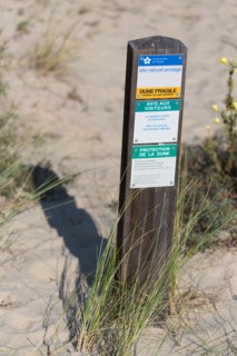 Merlimont Plage, dunes de Stella-Merlimont