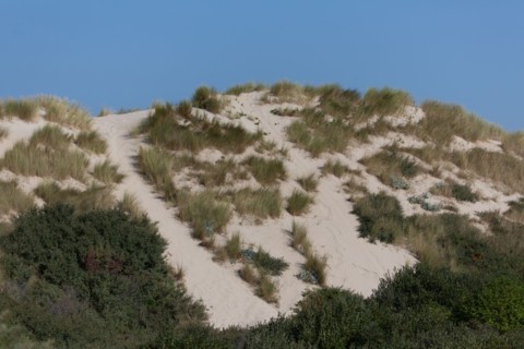 Merlimont Plage, dunes de Stella-Merlimont
