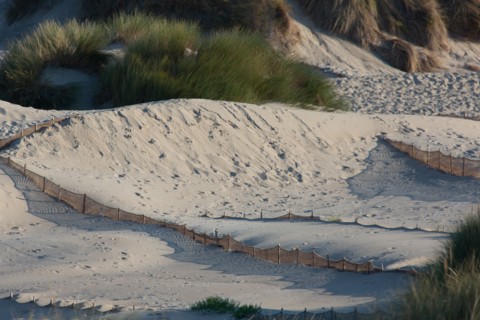 Merlimont Plage, dunes de Stella-Merlimont