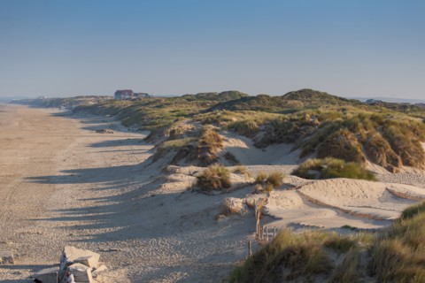 Merlimont Plage, dunes de Stella-Merlimont