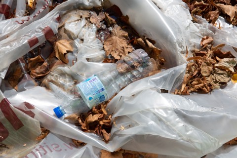 Paris, déchets