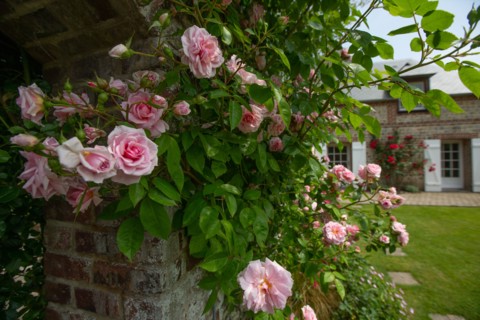 Veules-les-Roses, Moulin des Cressonnières