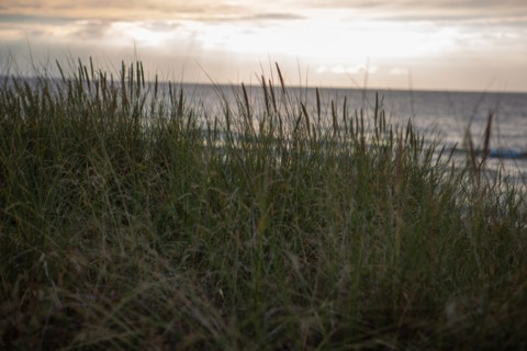 Blonville-sur-Mer (Calvados)