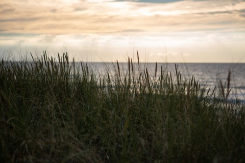 Blonville-sur-Mer (Calvados)
