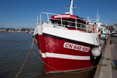 Trouville-sur-Mer (Calvados), docked trawler