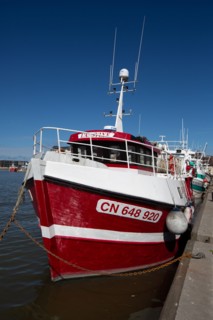Trouville-sur-Mer (Calvados), docked trawler