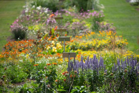 Le Havre, hanging gardens, Fort de Sainte Adresse