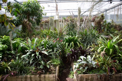 Le Havre, hanging gardens, Fort de Sainte Adresse