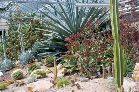 Le Havre, jardins suspendus, Fort de Sainte Adresse