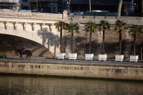 Le Quai du Louvre à Paris