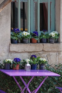 Paris, restaurant "Au Vieux Paris d'Arcole"