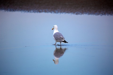 Deauville, beach