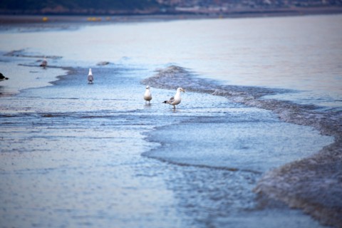 Deauville, beach