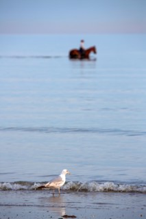 Deauville, beach