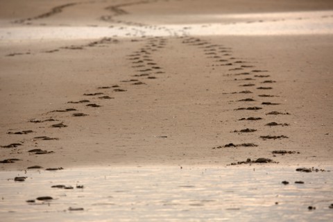 Deauville, beach