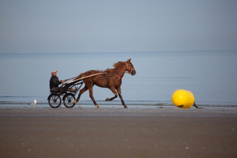 Deauville, beach