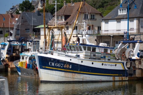 Port en Bessin Huppain, chalutiers amarrés à quai