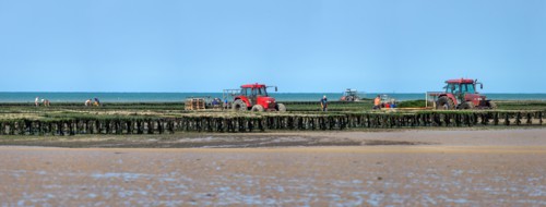 Côte de nacre, landing beaches
