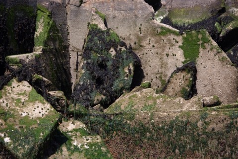 Côte de nacre, landing beaches