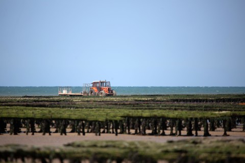 Côte de nacre, landing beaches