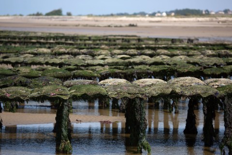 Côte de nacre, landing beaches