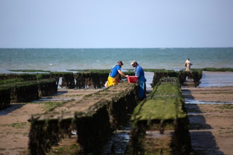 Côte de nacre, landing beaches