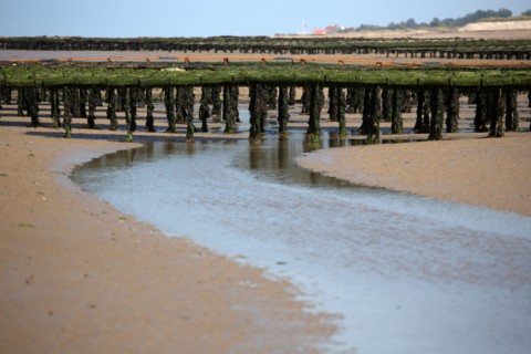 Côte de nacre, landing beaches