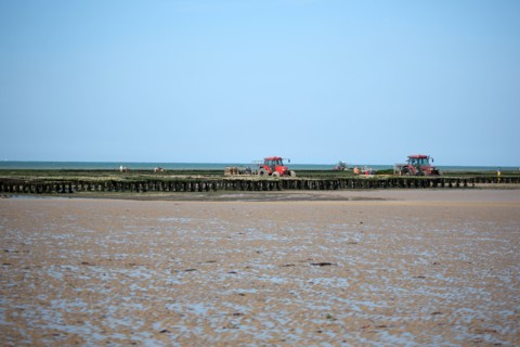 Côte de nacre, landing beaches