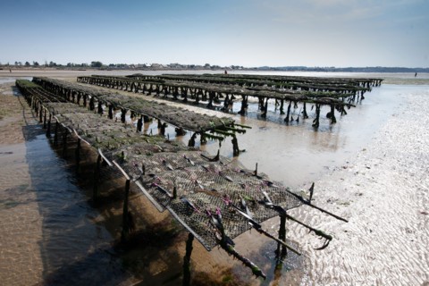 Côte de nacre, landing beaches