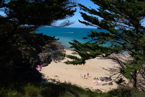 Pleneuf Val André, coastal path