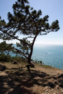 Pleneuf Val André, coastal path