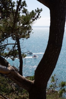 Pleneuf Val André, coastal path