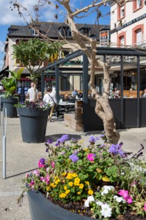 Pleneuf Val André, town center of Val André