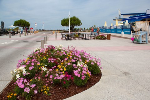 Merville-Franceville-Plage