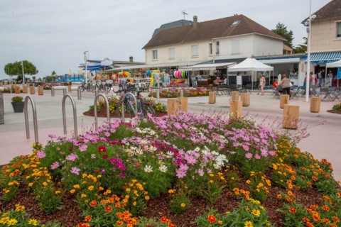 Merville-Franceville-Plage