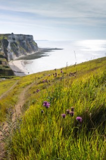 Saint-Martin-en-Campagne, Seine Maritime